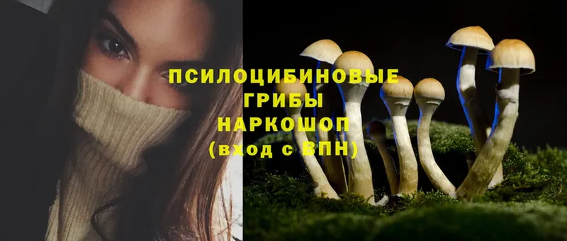 Галлюциногенные грибы Psilocybine cubensis  omg ссылки  Остров  shop телеграм  дарнет шоп 